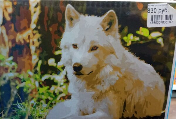 Холст с красками по номерам “Белый волк”.