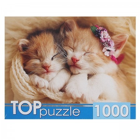 Пазлы РК TOPpuzzle 1000дет ГИТП1000-2142 Два спящих котенка 1