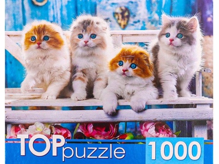 Пазлы "Котята скоттиш фолд" (1000 элементов) в коробке 1
