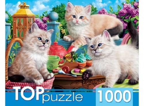 Пазлы "Котята и чаепитие" на 1000 элементов в коробке. 1