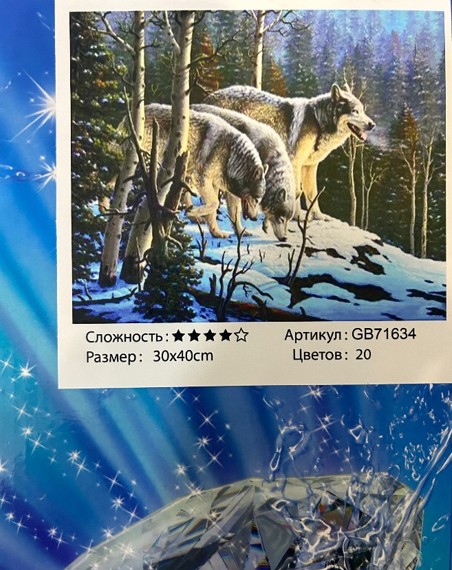 Алмазная мозаика 30х40 см (арт. GB71634) купить в Донецке, Макеевке ...