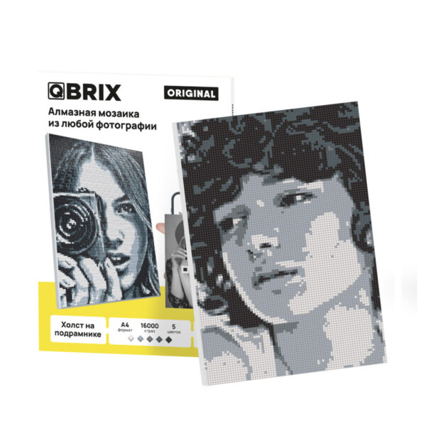 QBRIX Алмазная фото-мозаика на подрамнике ORIGINAL А4 (арт. 40004)