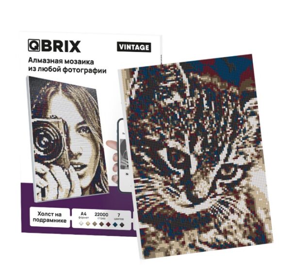 QBRIX Алмазная фото-мозаика на подрамнике VINTAGE А4 (арт. 40005)