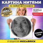 Картина нитями по фото Qbrix (Арт. 41000) 2