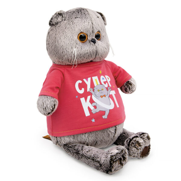 Ks30-284 Басик в лонгсливе с принтом "Супер кот" 2