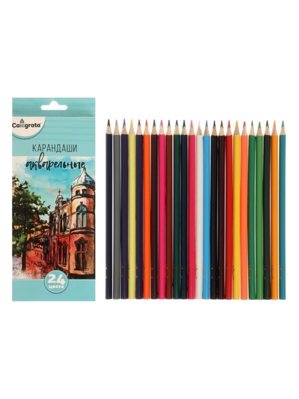 Карандаши акварельные 24 цвета в картонной коробке заточенные Calligrata   3883847