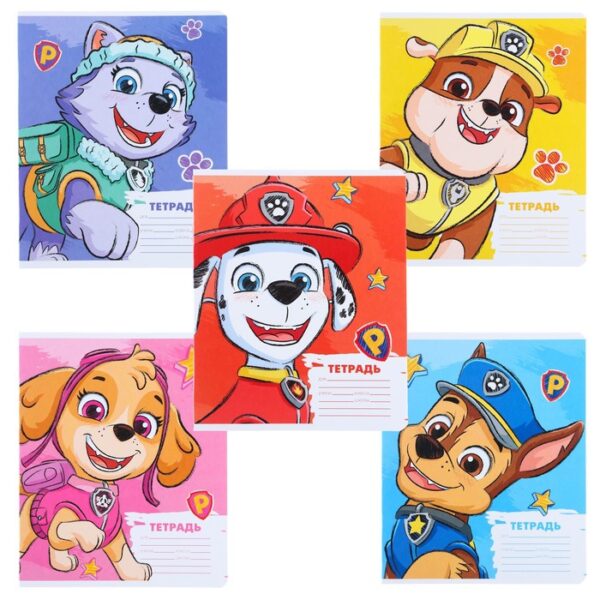 Тетрадь 12 листов, 5 видов МИКС, косая линия, Paw Patrol   9431518