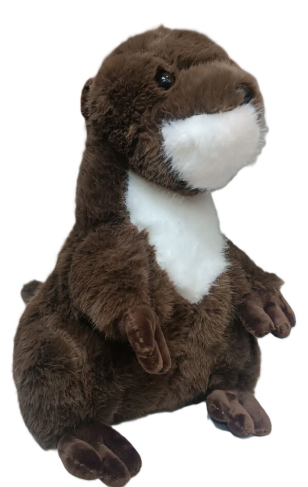 Выдра Арт. 6789 1